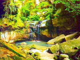Carnarvon Gorge, Carnarvon National Park - Accommodation Fremantle 0