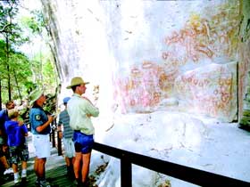 Carnarvon Gorge, Carnarvon National Park - Accommodation Fremantle 1