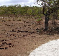 Wurrwurrwuy Garanhan Macassan Beach Interpretive Walk - Accommodation Fremantle