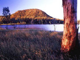 Nuga Nuga National Park And Lake Nuga Nuga - Accommodation Fremantle 2