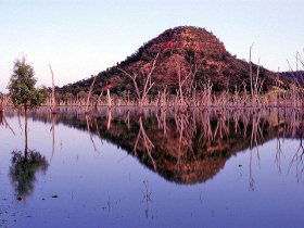Nuga Nuga National Park And Lake Nuga Nuga - Accommodation Fremantle 3