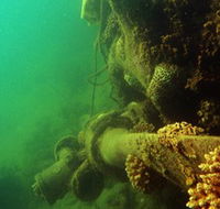 Wreck Diving at Magnetic Island - Accommodation Fremantle