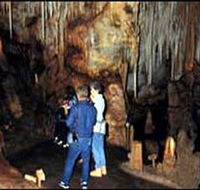 Tantanoola Caves Conservation Park - Accommodation Fremantle