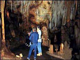 Tantanoola Caves Conservation Park - Accommodation Fremantle 0