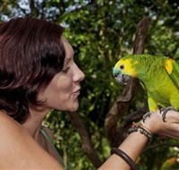 Birdworld Kuranda - Accommodation Fremantle