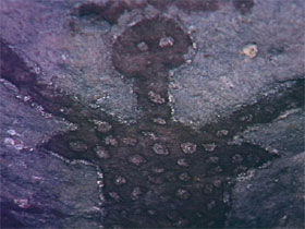 Accommodation Fremantle