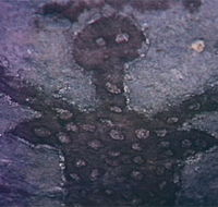Quinkan Reserves Ancient Rock Art - Accommodation Fremantle