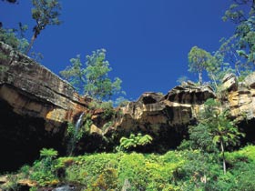 Blackdown Tableland National Park - Accommodation Fremantle 1