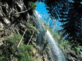 Blackdown Tableland National Park - Accommodation Fremantle 2