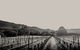 Halls Gap Estate - thumb 1