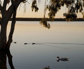 Lake Elphinstone - Accommodation Fremantle 2