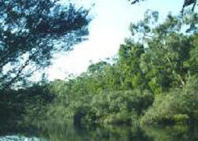 Lake Condah ACT Accommodation Fremantle
