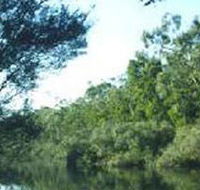 Crawford River Regional Park - Accommodation Fremantle