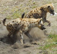 Altina Wildlife Park - Accommodation Fremantle