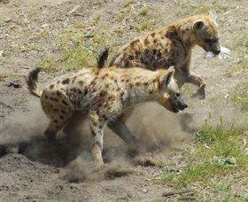 Altina Wildlife Park - Accommodation Fremantle 0