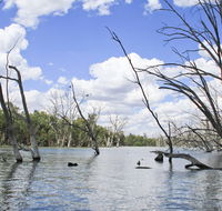 Murrumbidgee Valley National Park - Accommodation Fremantle