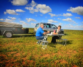 Long Paddock - Cobb Highway Touring Route - Accommodation Fremantle 0