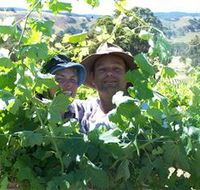 Wimmera Hills Winery - Accommodation Fremantle