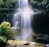 Mount Buangor State Park - Accommodation Fremantle