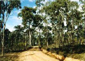 Paddys Ranges State Park - Accommodation Fremantle 0