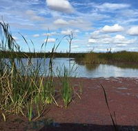 Gwydir Wetlands - Accommodation Fremantle