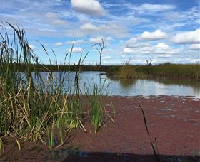 Gwydir Wetlands - Accommodation Fremantle 0