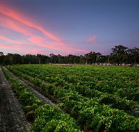 Amherst Winery - Accommodation Fremantle