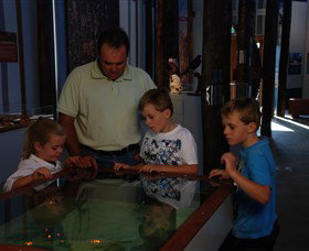 Pilliga Forest - Accommodation Fremantle 1