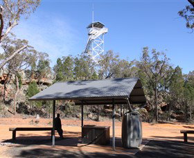 Pilliga Forest - Accommodation Fremantle 2