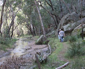 Pilliga Forest - Accommodation Fremantle 3