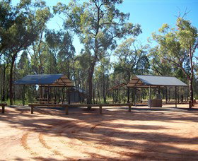 Pilliga Forest - Accommodation Fremantle 6