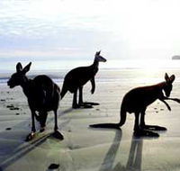 Hibiscus Coast - Accommodation Fremantle