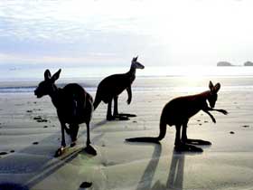 Hibiscus Coast - Accommodation Fremantle 0