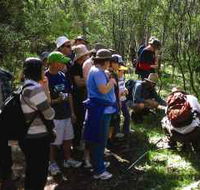Warrumbungle National Park Discovery Program - Accommodation Fremantle