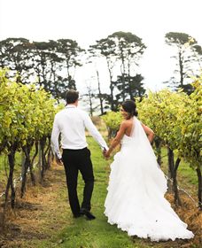 Quoin Hill Vineyard - Accommodation Fremantle 2