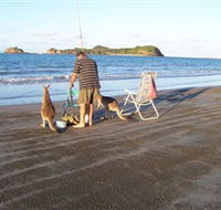 Cape Hillsborough National Park - Accommodation Fremantle