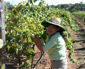 Domaine Asmara - Accommodation Fremantle 6