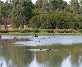 Tatura East ACT Accommodation Fremantle