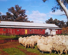 Savernake Day Tours - Accommodation Fremantle 1