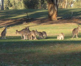 Savernake Day Tours - Accommodation Fremantle 4
