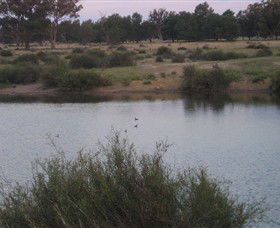 Savernake Day Tours - Accommodation Fremantle 7