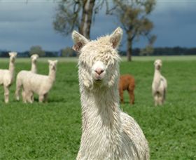 Creswick Woollen Mills - Accommodation Fremantle 1