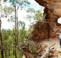 Pilliga National Park - Accommodation Fremantle
