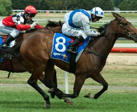 Ballarat Turf Club - Accommodation Fremantle 3