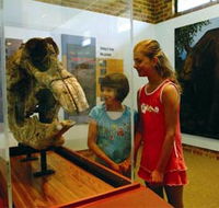 Australian Museum Diprotodon Exhibition - Accommodation Fremantle