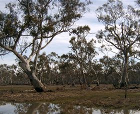 Murchison Rail Trail - Accommodation Fremantle 1