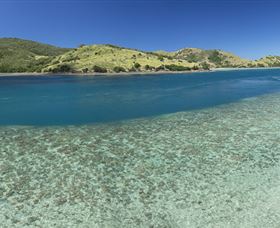 Scuba Diving On Keswick Island - Accommodation Fremantle 1