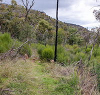 Lynchs loop trail - Accommodation Fremantle
