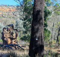 Eualdrie walking track - Accommodation Fremantle