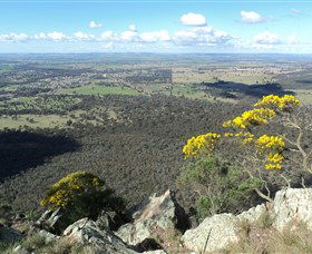 The Rock Nature Reserve - Accommodation Fremantle 4